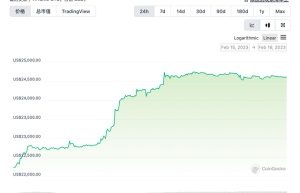 比特币突破24500美元，24小时涨超11%！发生了什么？风险在哪？